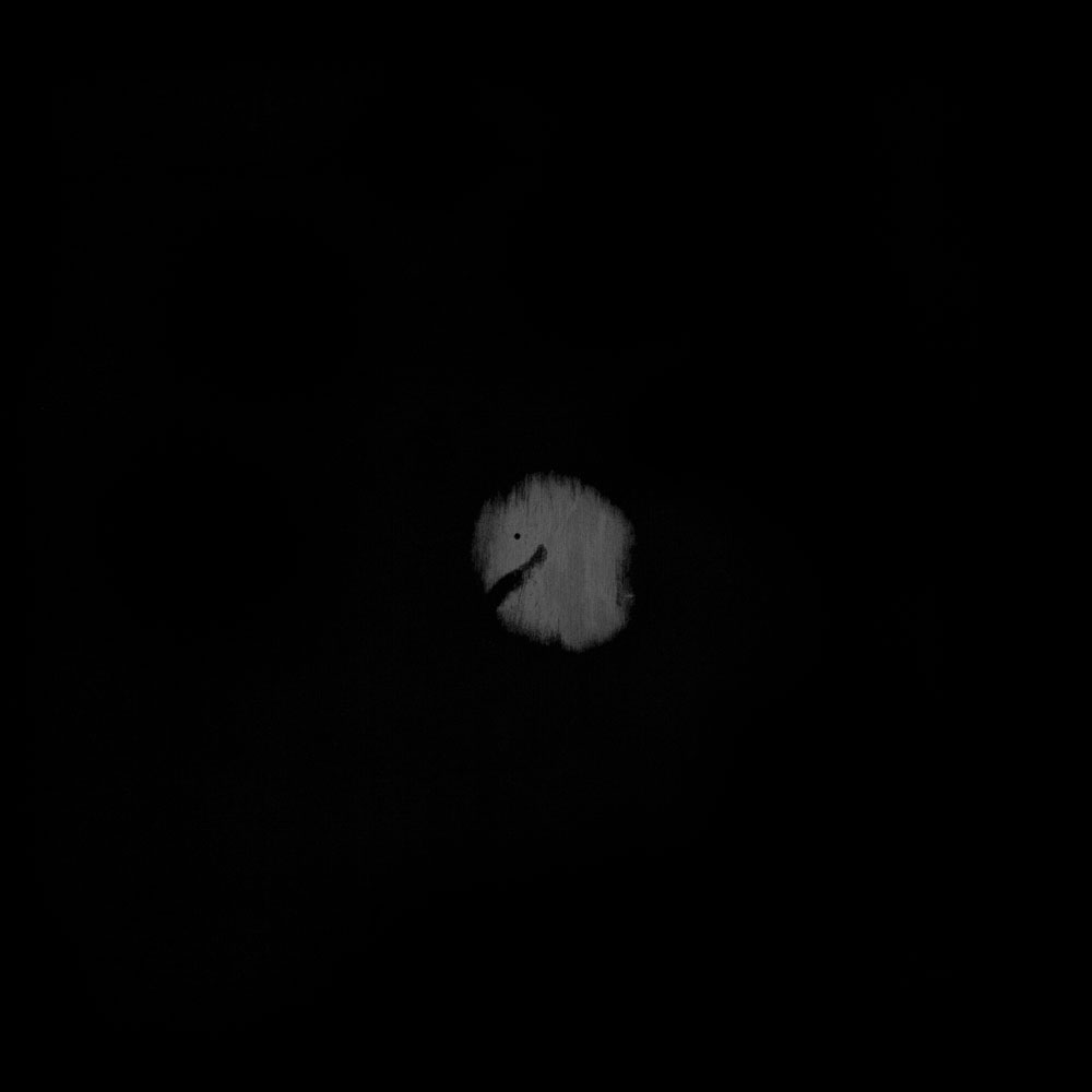 Experiments in breathing