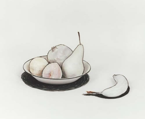 nature morte